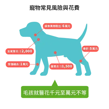 寵物常見風險與花費